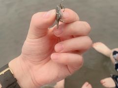 -奉贤海滩