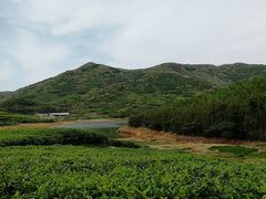 -嵛山岛