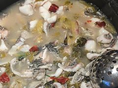 -周渝食惦酸菜鱼(青浦店)