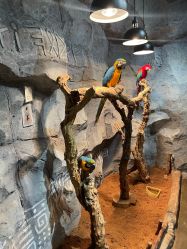 -Zoolung Zoolung动物主题公园(海信广场店)