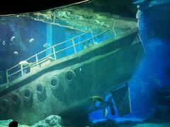 -福州罗源湾海洋世界旅游区