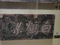 -白鹤梁水下博物馆