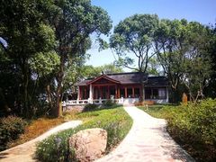 -上海市保健医疗中心