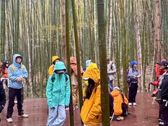 -南京市无想山景区