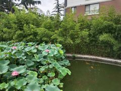 -湛山花园酒店-自助餐厅