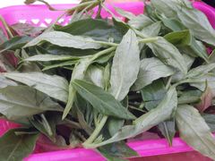 时蔬-15年老字号鑫鑫猪肚鸡·椰子鸡海南火锅(兴隆华侨农场店)