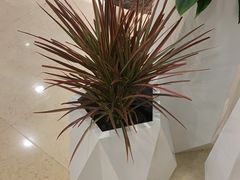 -北京广安门维景国际大酒店