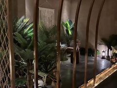 -泰尊道·纯正泰式按摩spa(包河万达店)
