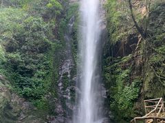 -莫里热带雨林景区