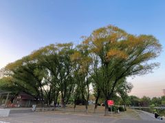 -太阳宫公园