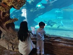 -华夏文旅海洋公园