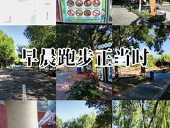 -大兴滨河森林公园