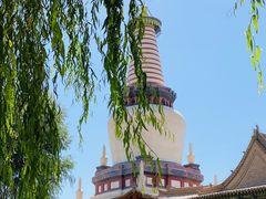 -张掖大佛寺景区