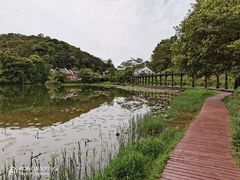 -广州市石门国家森林公园