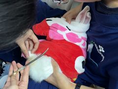 -爱侣宠医·鹦鹉专科·小型哺乳类·异宠专科(灵石路店)