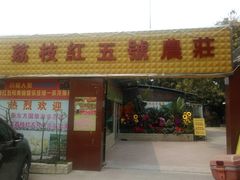 门面-荔枝红五号农庄