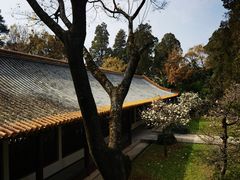 -昆明市金殿名胜区