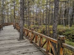 -洮儿河国家湿地公园