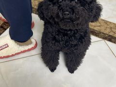 -龙湖杭州滨江天街