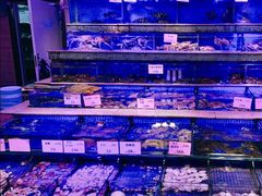水产区-青蓬蒸汽海鲜·深圳老字号·团建聚会(壹方城店)