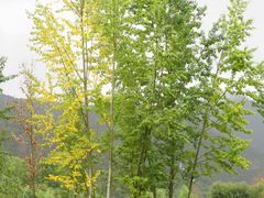 -丽江泸沽湖景区