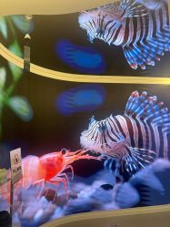 -海菲秀·飞顿牛奶光·LDM官方授权中心美轮美浣瓷感美肌