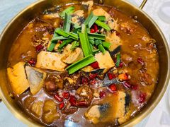 -丁老爷子苏香圆