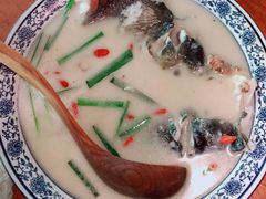 奶汤鱼头煲-馬蘭花開(车站大道店)