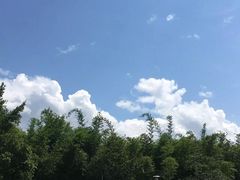 -福建鲤鱼洲酒店