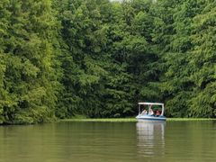 -上海海湾国家森林公园