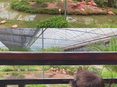 -无锡动物园·太湖欢乐园