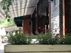 -Local泰莲庭(虹鳟鱼店)