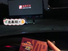 -枫花园汽车电影院(朝阳公园店)