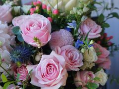 -皇家美孚(麦岛店)