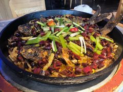 -老板恋上鱼(恒隆广场店)