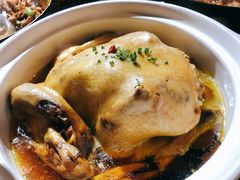 土鸡炖岩耳-印象鲵宴·张家界地标美食名片(溪布街店)