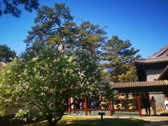 -承德避暑山庄景区