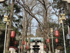 -九华山公园