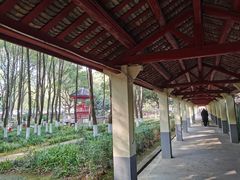 -马王堆汉墓遗址