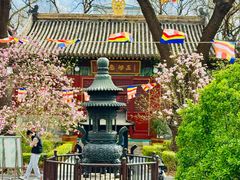 -历代帝王庙博物馆