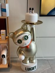 -R&Y·肌について日韩问题肌皮肤管理