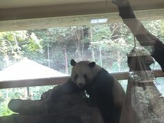 -云南野生动物园