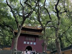 -普陀山风景名胜区-法雨禅寺
