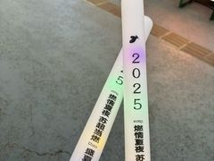 -荷兰花海