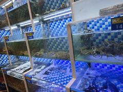 -蔚海之都·象山蒸汽海鲜(仙霞路店)