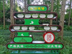 -黄海国家森林公园