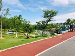 -上海长兴岛郊野公园