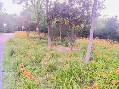 -永定河休闲森林公园