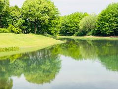 -贡湖湾湿地公园