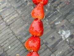 -宝记烧烤·龙虾·啤酒夜宵(新街口店)